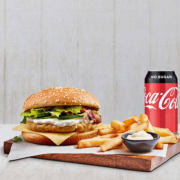 Chicken Schnitzel Burger Plain